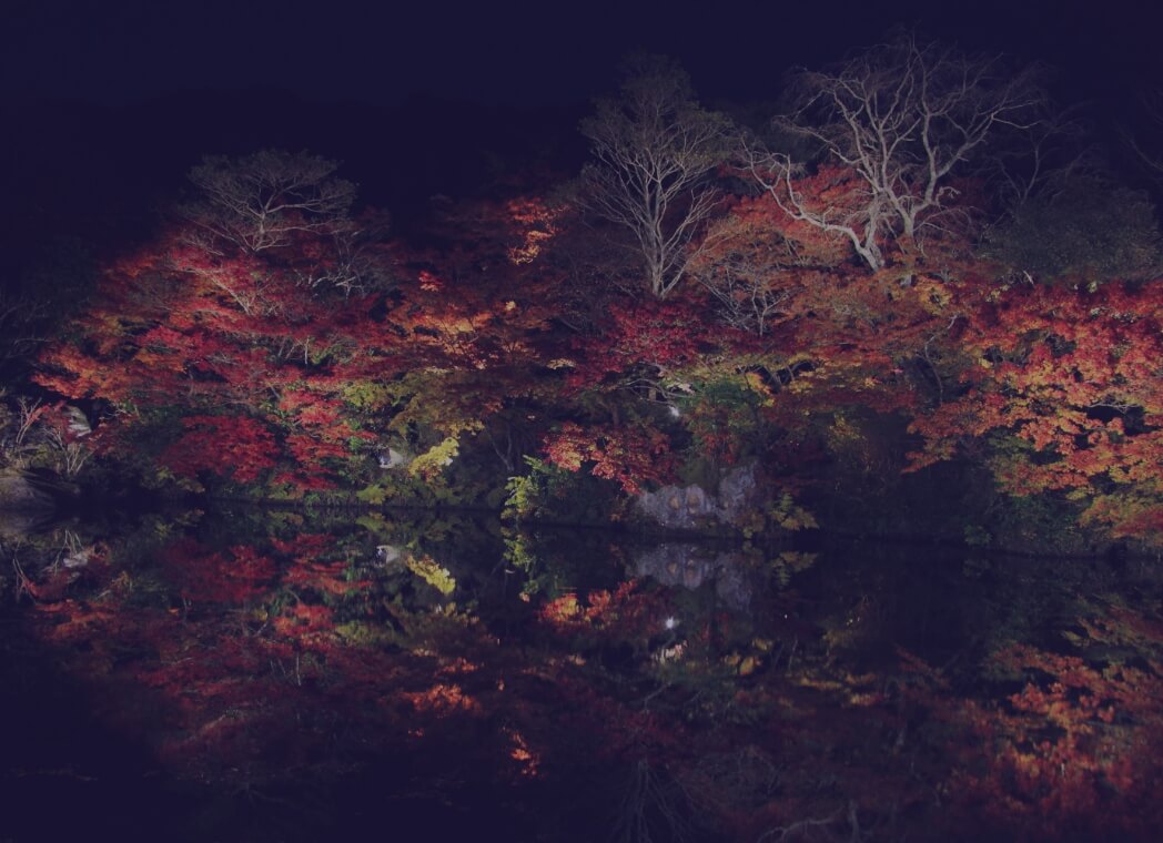 LED照明・景観事業